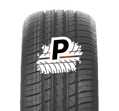 DOUBLE COIN DS66 HP 225/55 R19 99V