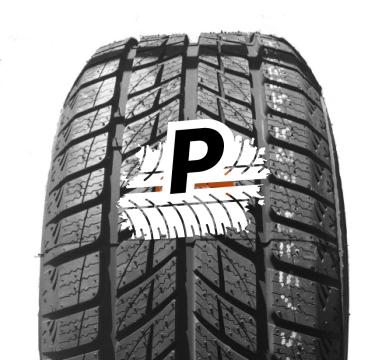 DOUBLESTAR DW09 WINTERKING 275/40 R20 106V XL M+S
