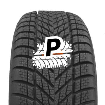 DUNLOP WINTER 205/55 R19 97V XL (EVR) M+S
