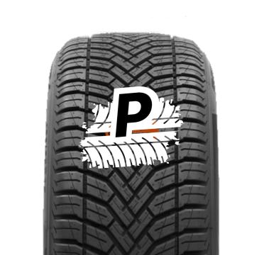 DELINTE AW6 205/40 R17 84W XL M+S