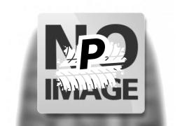 SUN-F A-050 28x12.00 -12 70J 6PR